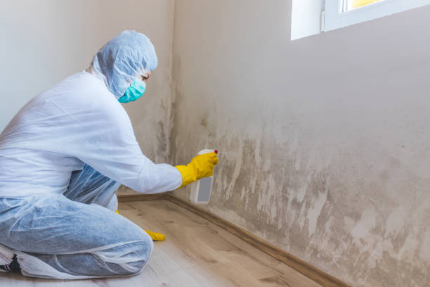 Crawl Space Mold Remediation treatment of floor joists in Erie